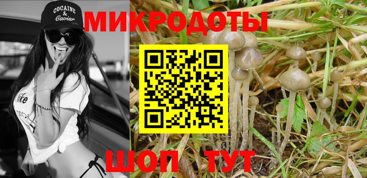 купить  цена  Псилоцибиновые грибы Psilocybe  Вход с VPN  Аша 